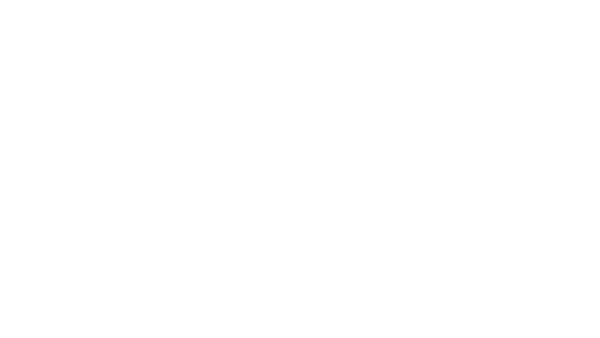 Center for global development